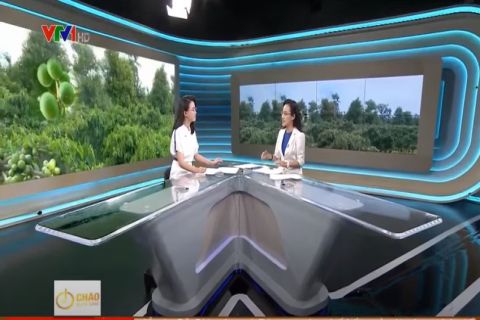 Vietfarm lên sóng VTV1-đại diện cho nhà sản xuất Macca Daklak 2018